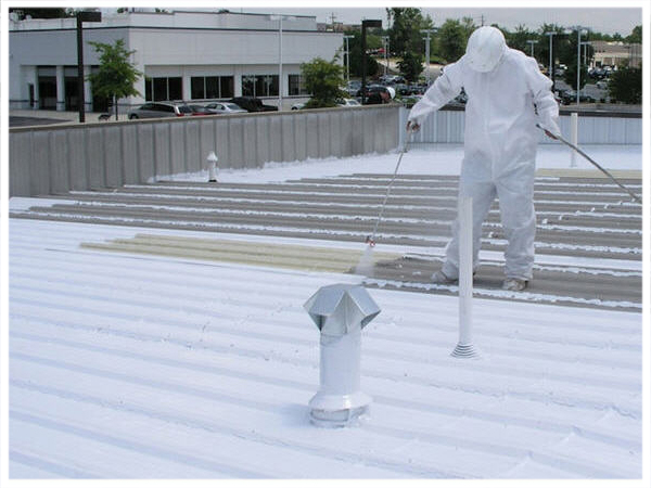 Liquid Rubber Roof Repair