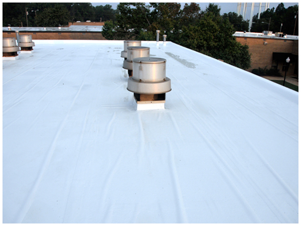 Enhancing Protection and Longevity: A Guide to Mobile Home Roof Coatings